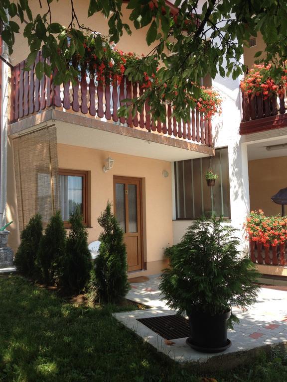 Guesthouse Ante Hodak Seliste Dreznicko Ngoại thất bức ảnh